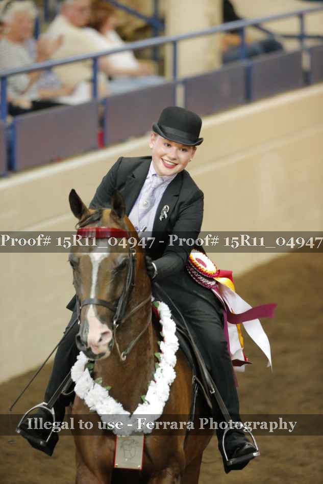 Proof Number 15R11_04947