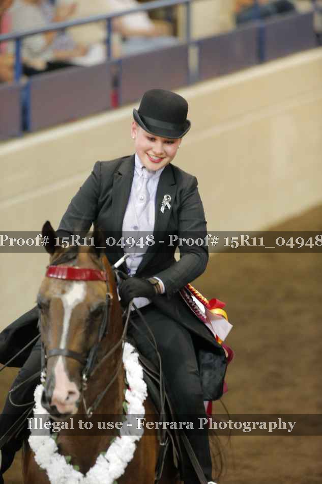 Proof Number 15R11_04948