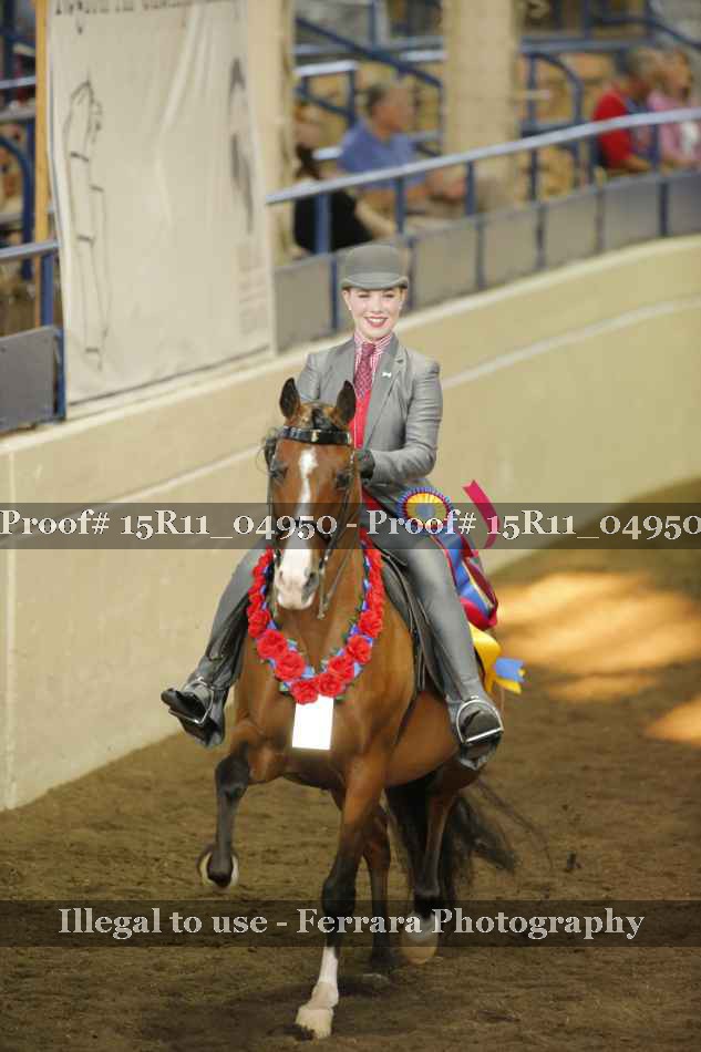 Proof Number 15R11_04950