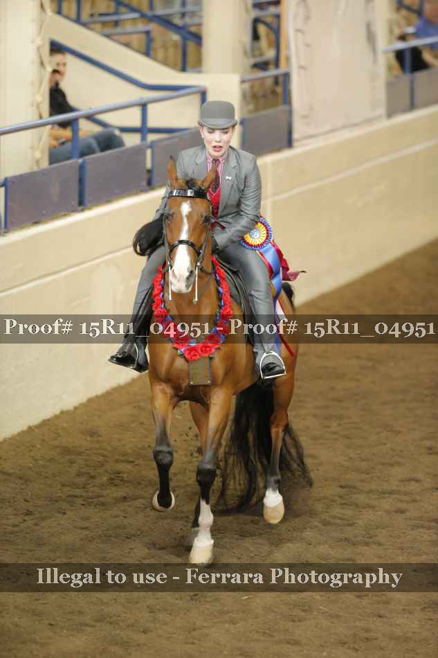 Proof Number 15R11_04951