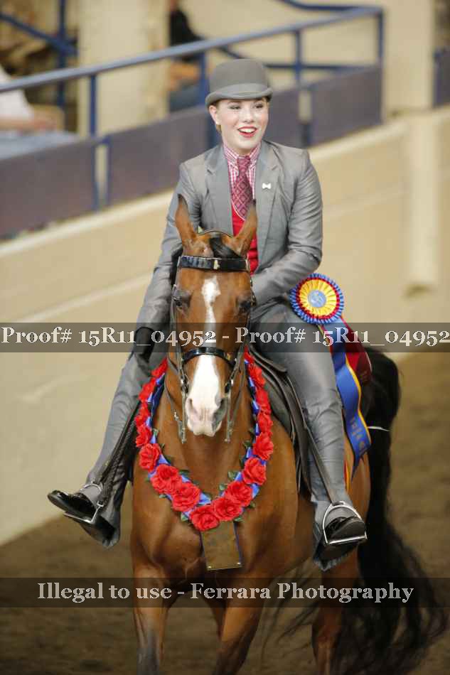 Proof Number 15R11_04952