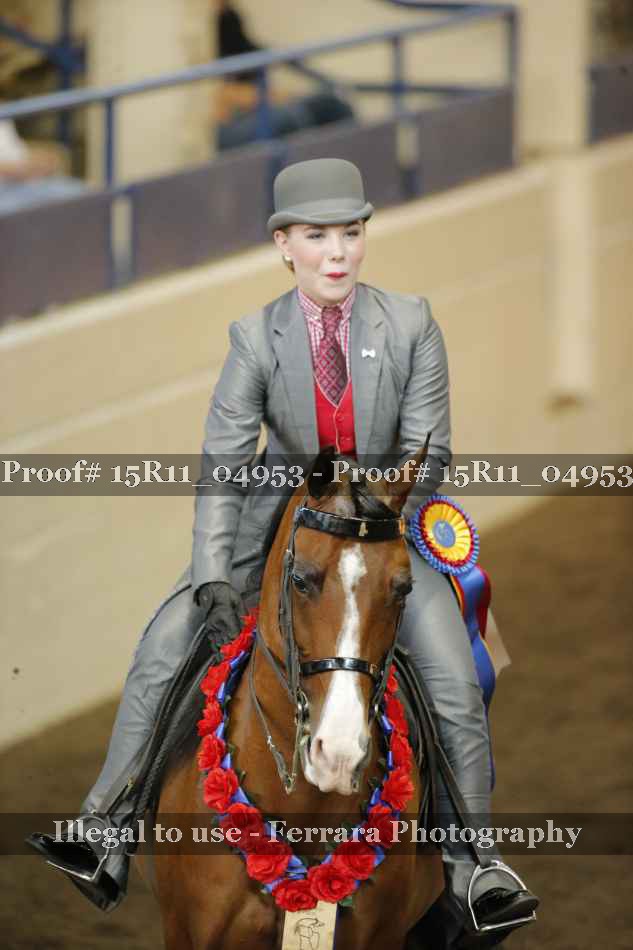 Proof Number 15R11_04953