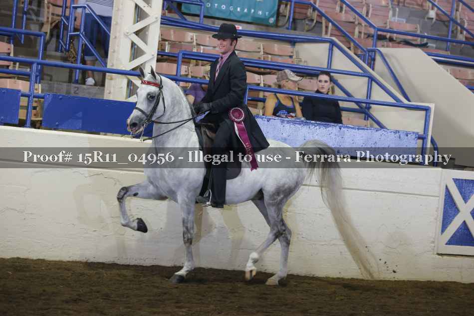 Proof Number 15R11_04956