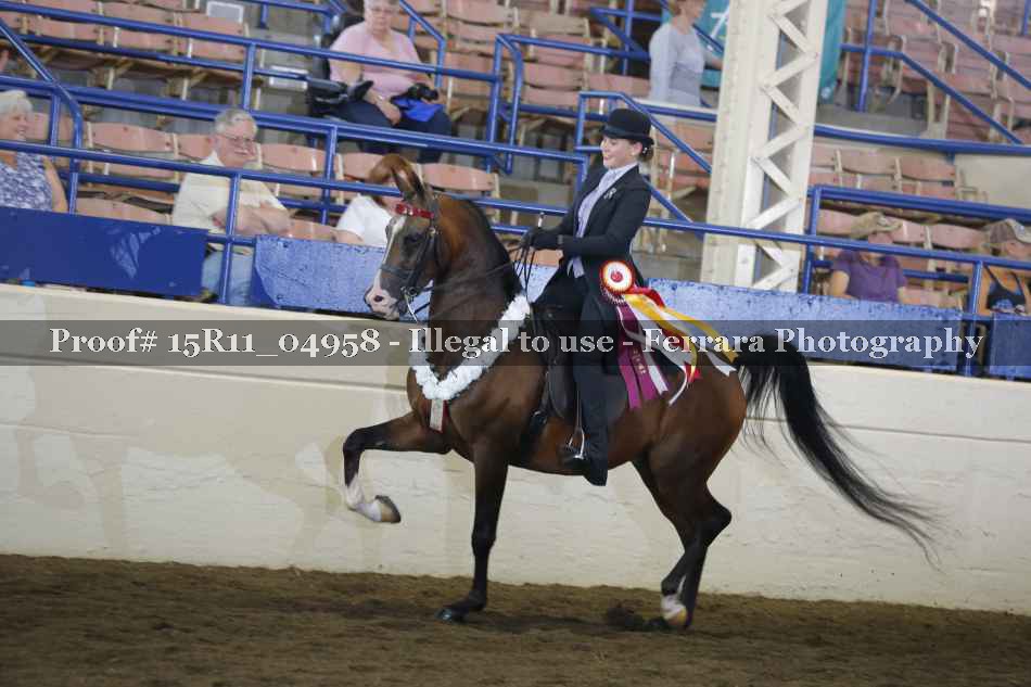 Proof Number 15R11_04958