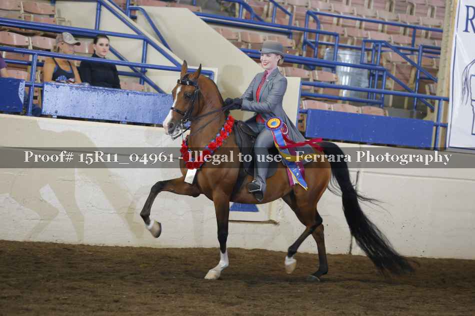 Proof Number 15R11_04961