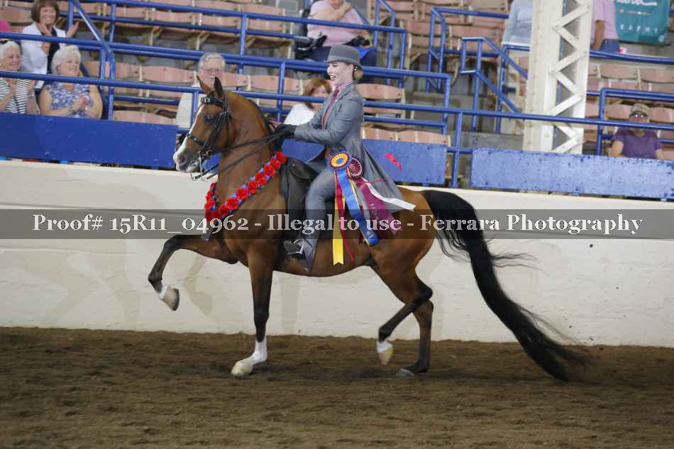 Proof Number 15R11_04962