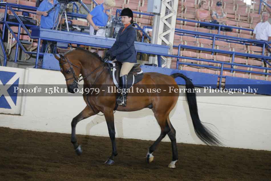 Proof Number 15R11_04979