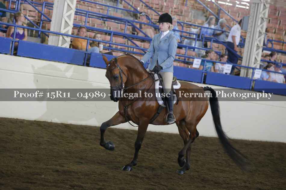 Proof Number 15R11_04989
