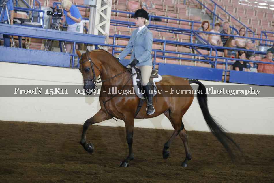 Proof Number 15R11_04991