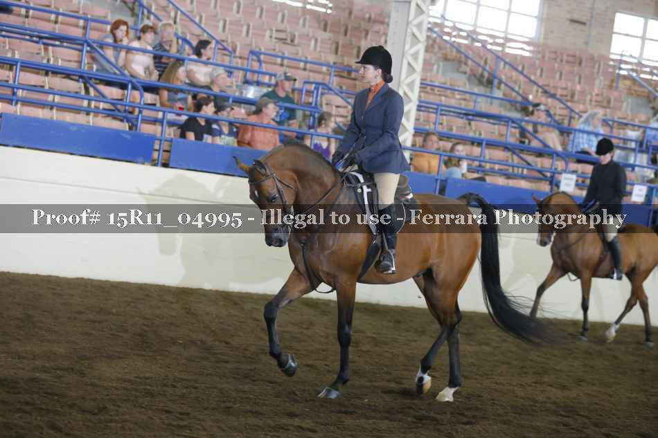 Proof Number 15R11_04995