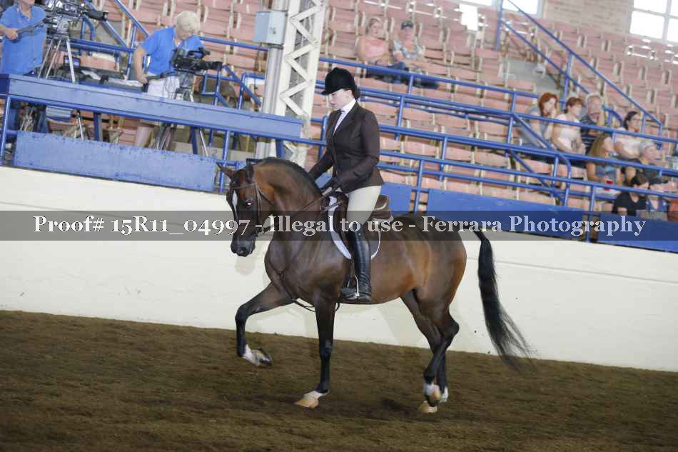 Proof Number 15R11_04997