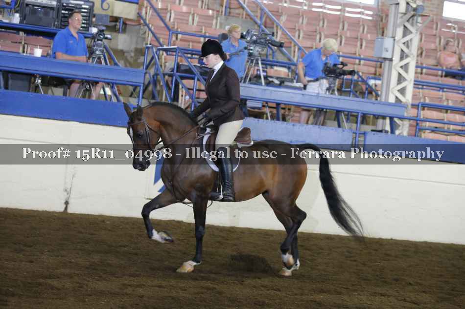 Proof Number 15R11_04998