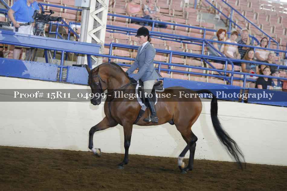 Proof Number 15R11_04999