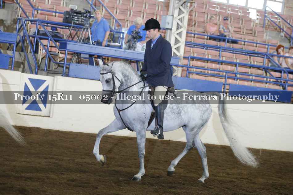 Proof Number 15R11_05002