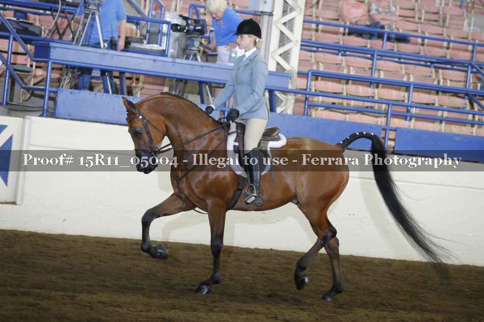 Proof Number 15R11_05004
