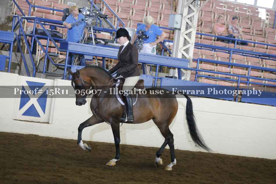 Proof Number 15R11_05007