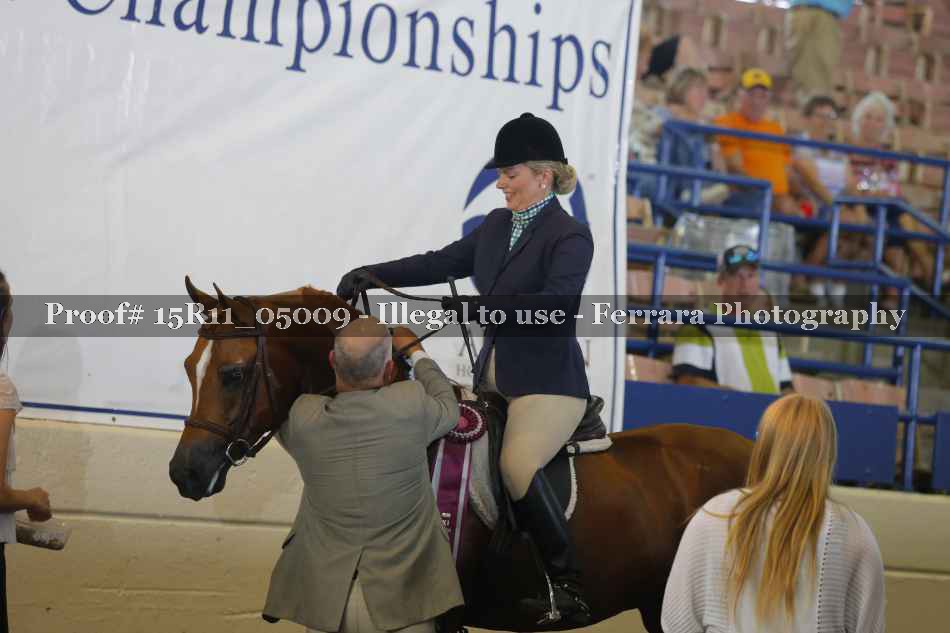 Proof Number 15R11_05009