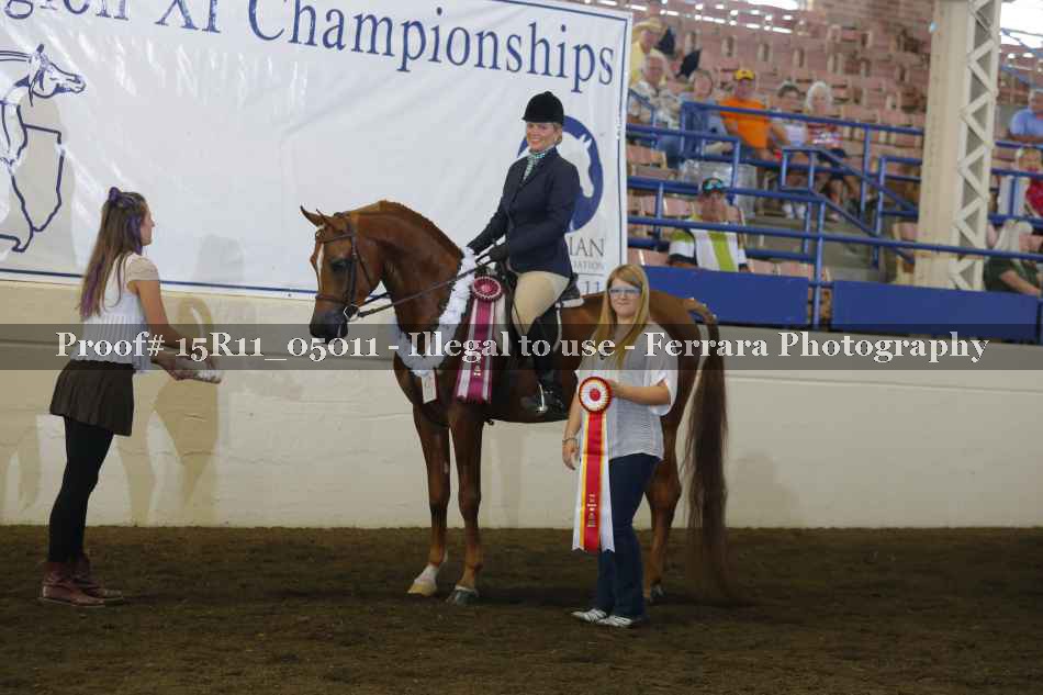 Proof Number 15R11_05011