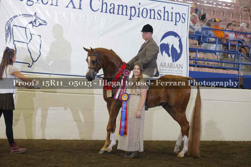 Proof Number 15R11_05013