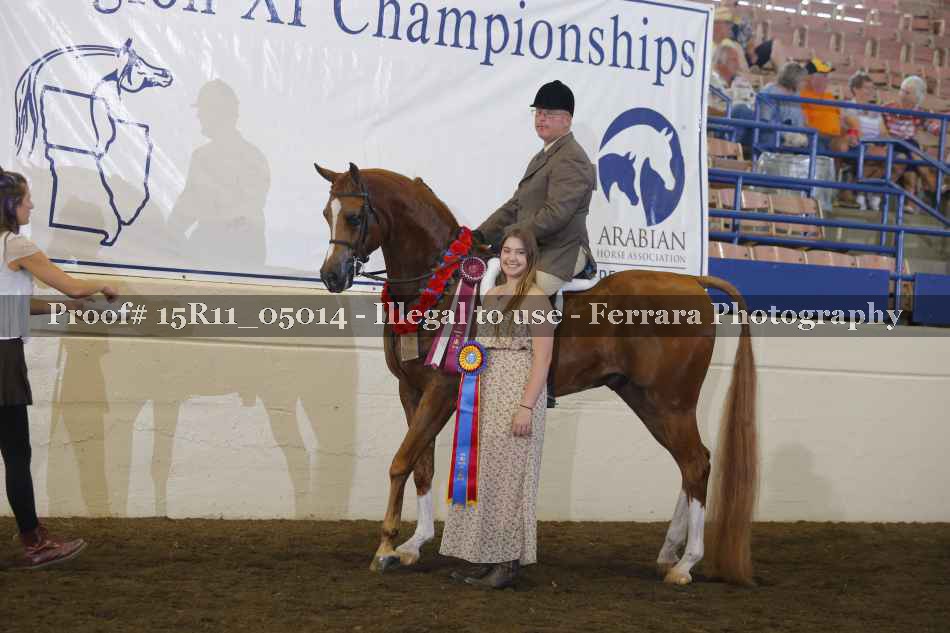 Proof Number 15R11_05014