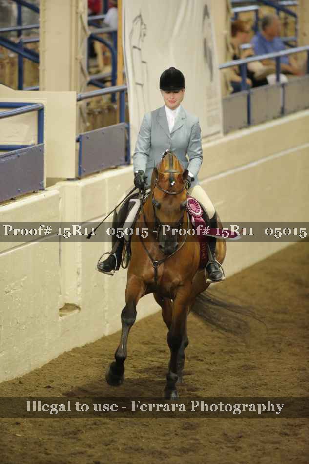 Proof Number 15R11_05015