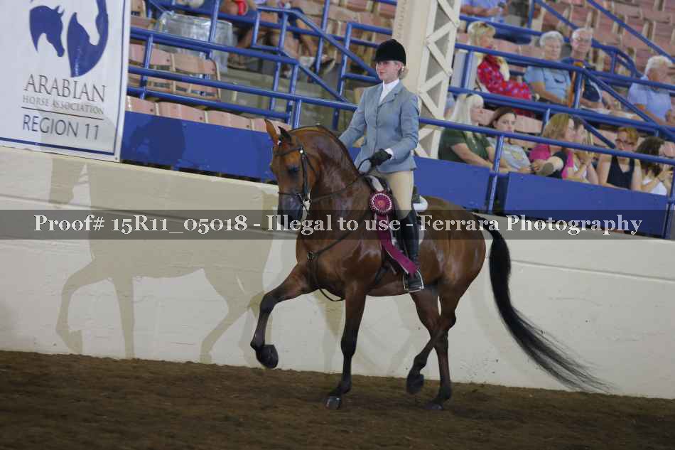 Proof Number 15R11_05018