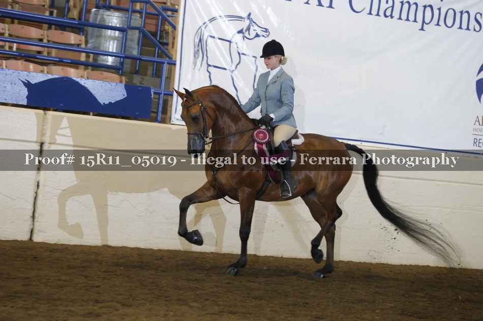 Proof Number 15R11_05019