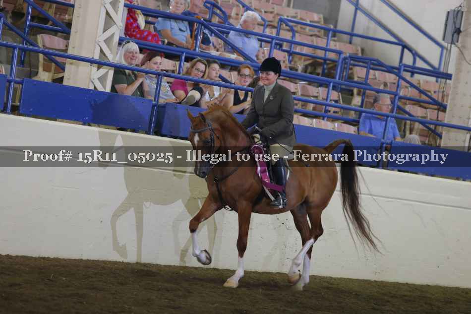 Proof Number 15R11_05025