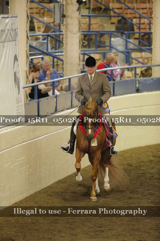 Proof Number 15R11_05028