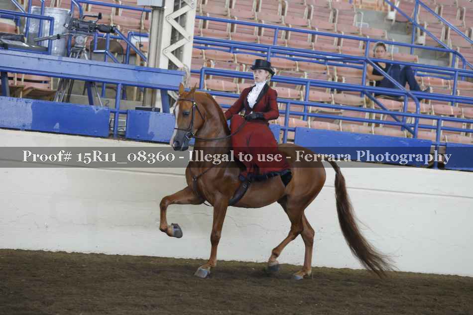 Proof Number 15R11_08360