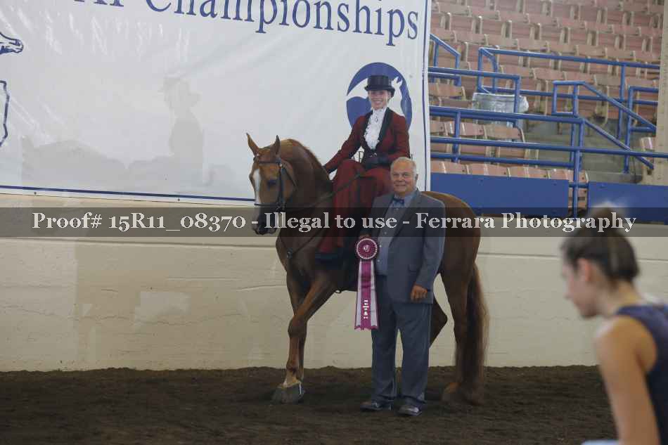 Proof Number 15R11_08370