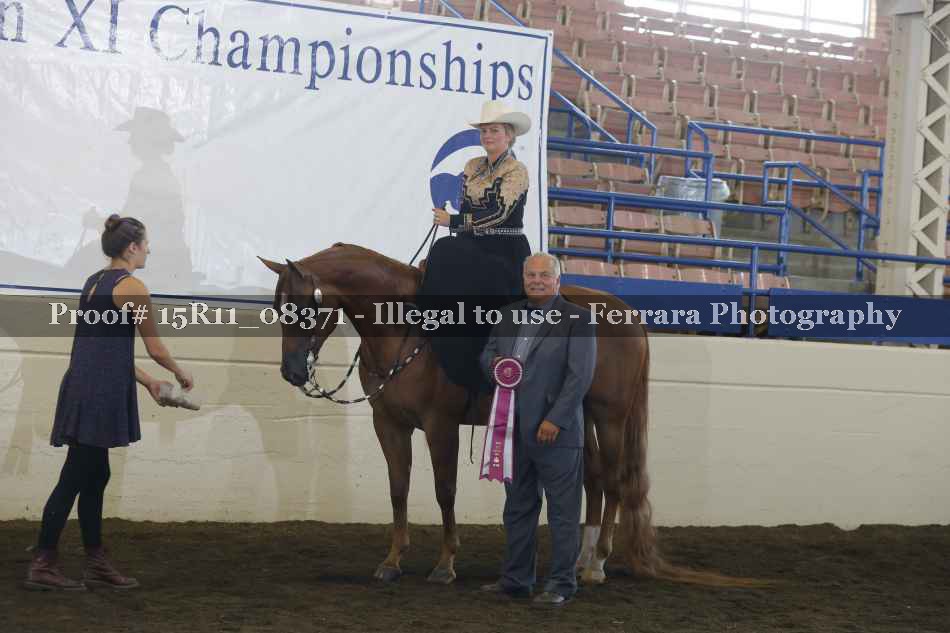 Proof Number 15R11_08371