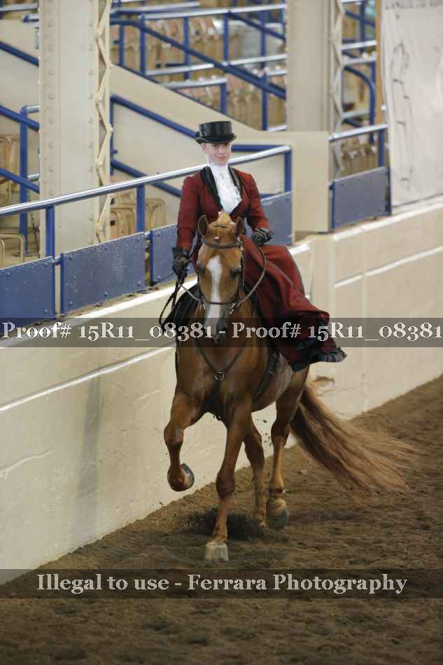 Proof Number 15R11_08381