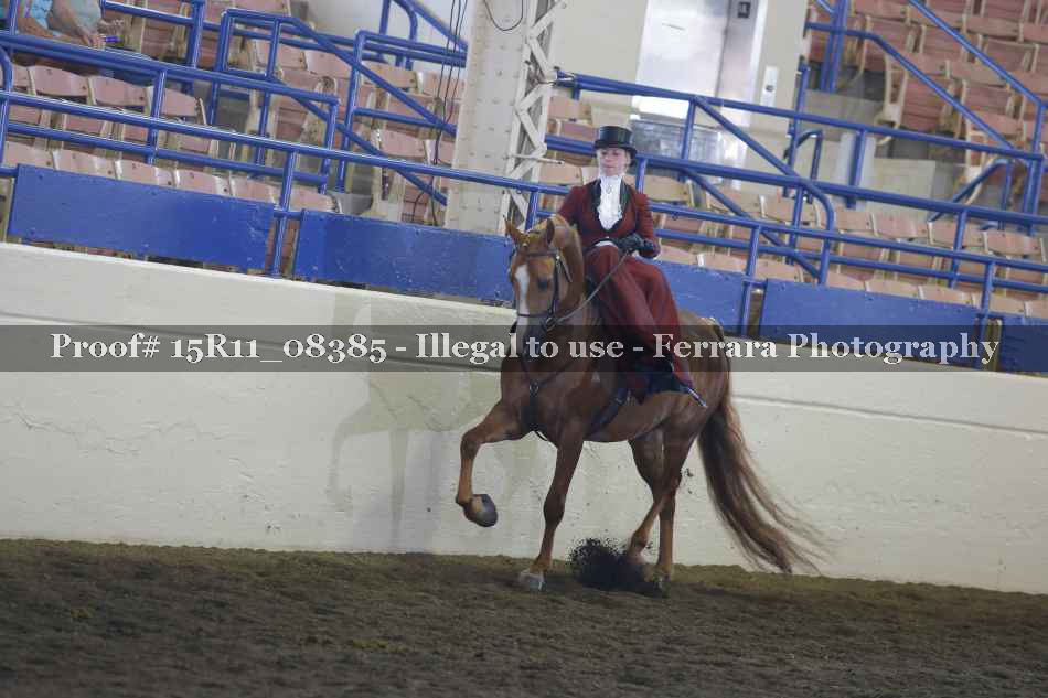 Proof Number 15R11_08385
