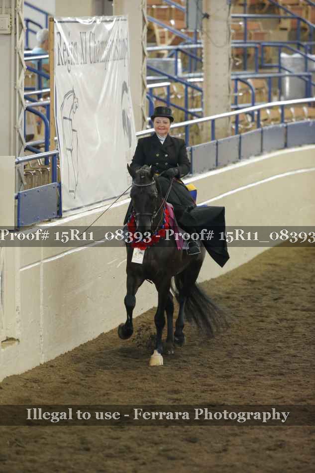 Proof Number 15R11_08393