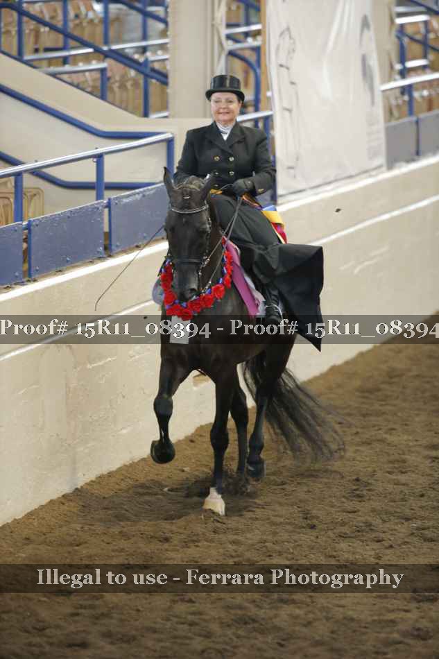 Proof Number 15R11_08394