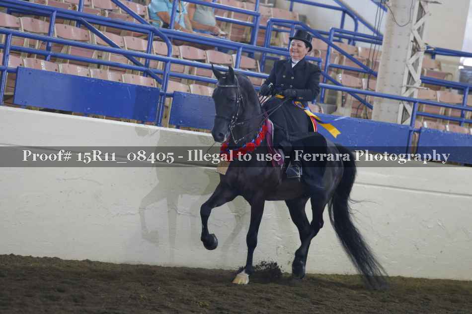 Proof Number 15R11_08405