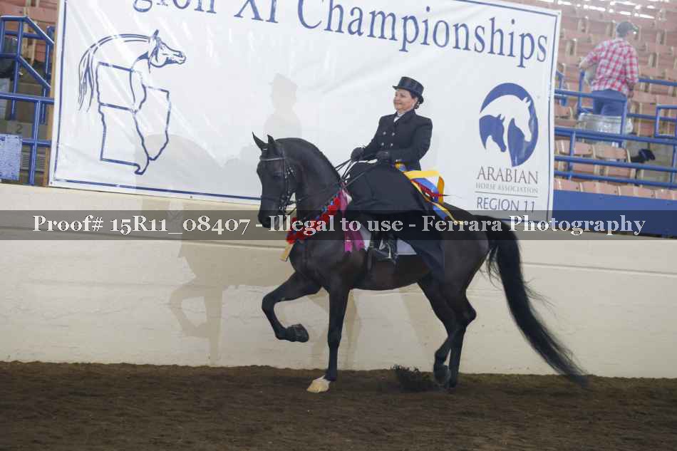 Proof Number 15R11_08407
