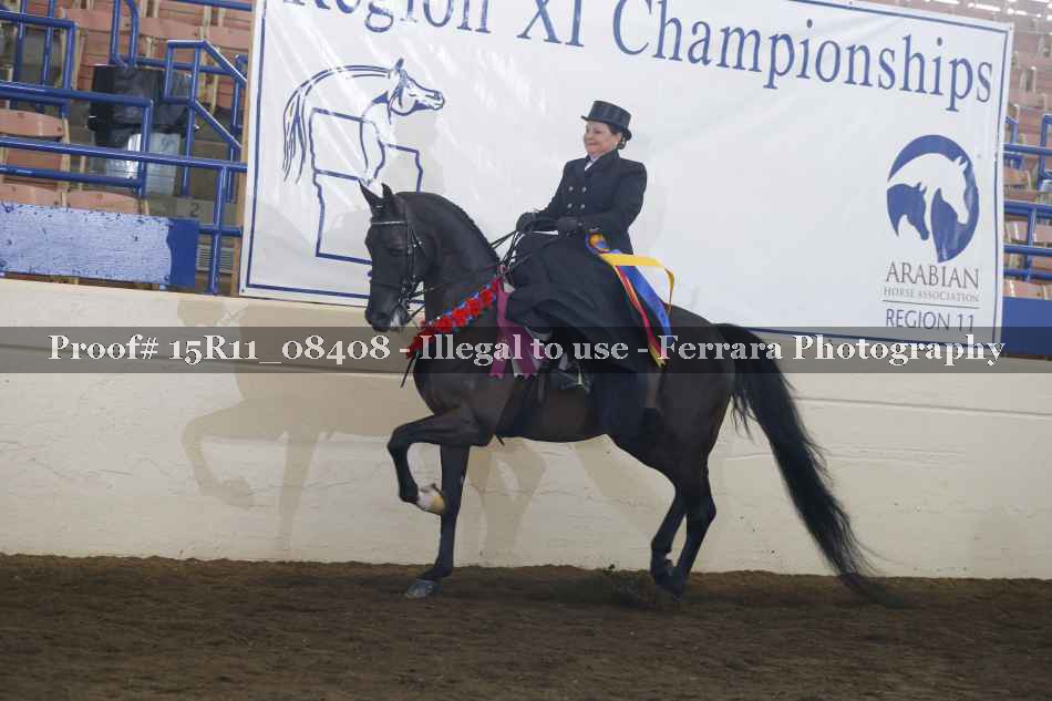 Proof Number 15R11_08408