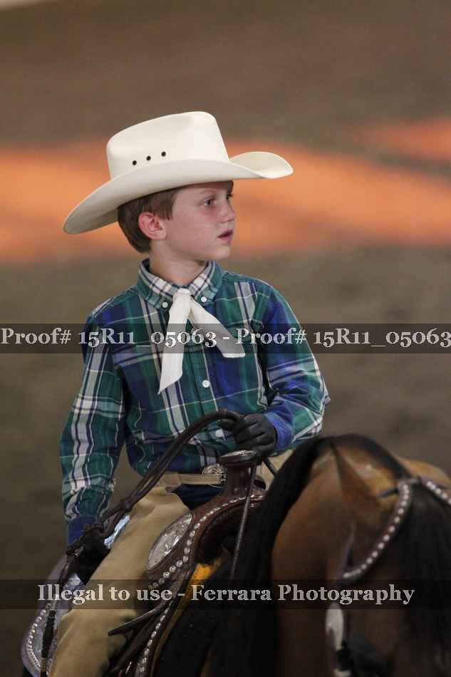 Proof Number 15R11_05063