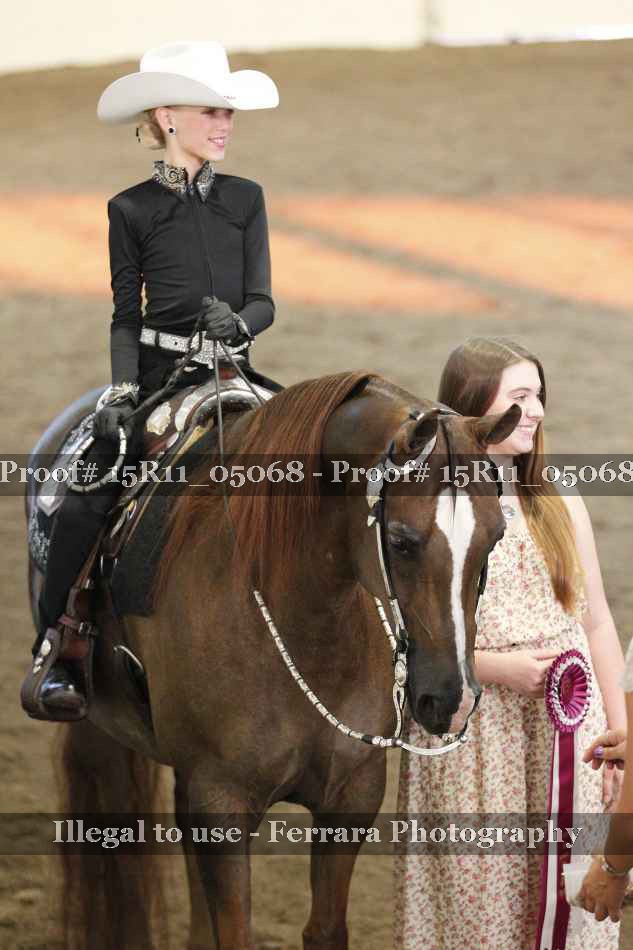 Proof Number 15R11_05068
