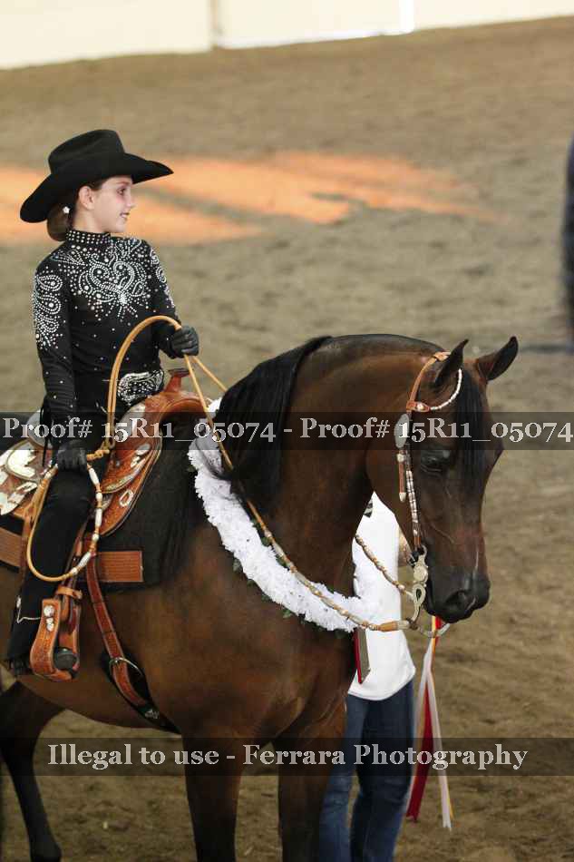 Proof Number 15R11_05074