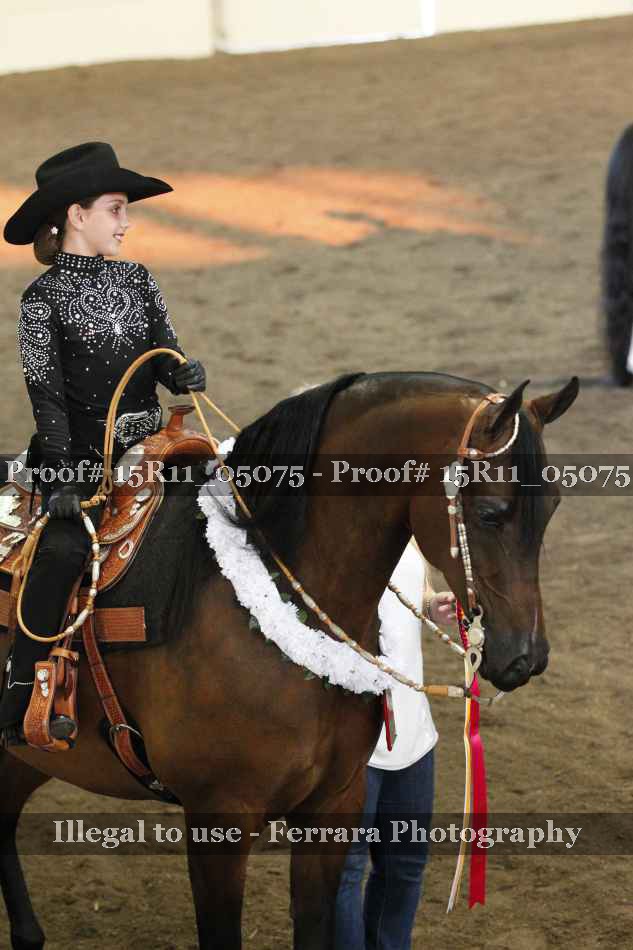 Proof Number 15R11_05075