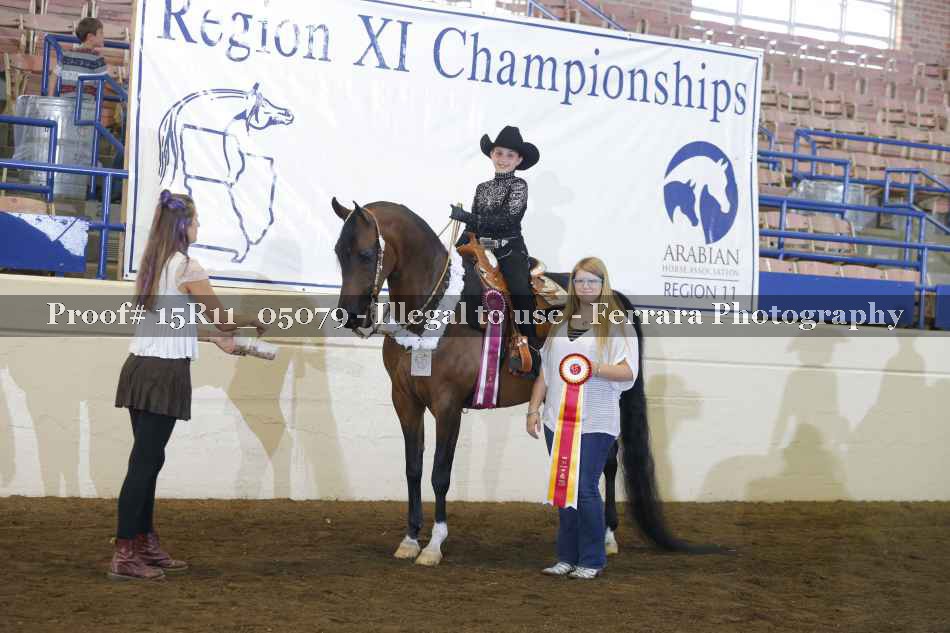 Proof Number 15R11_05079