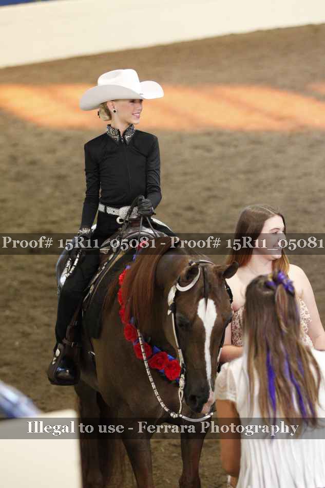 Proof Number 15R11_05081