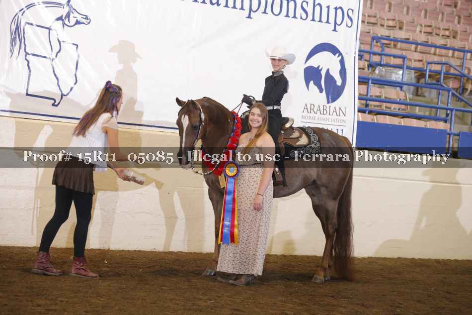 Proof Number 15R11_05085