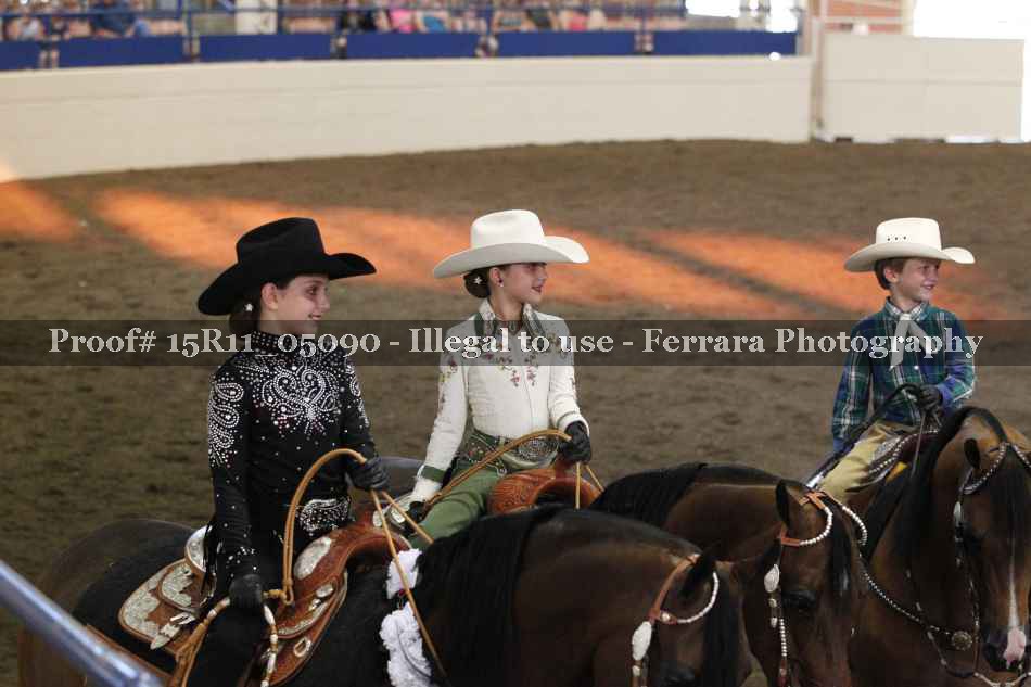 Proof Number 15R11_05090