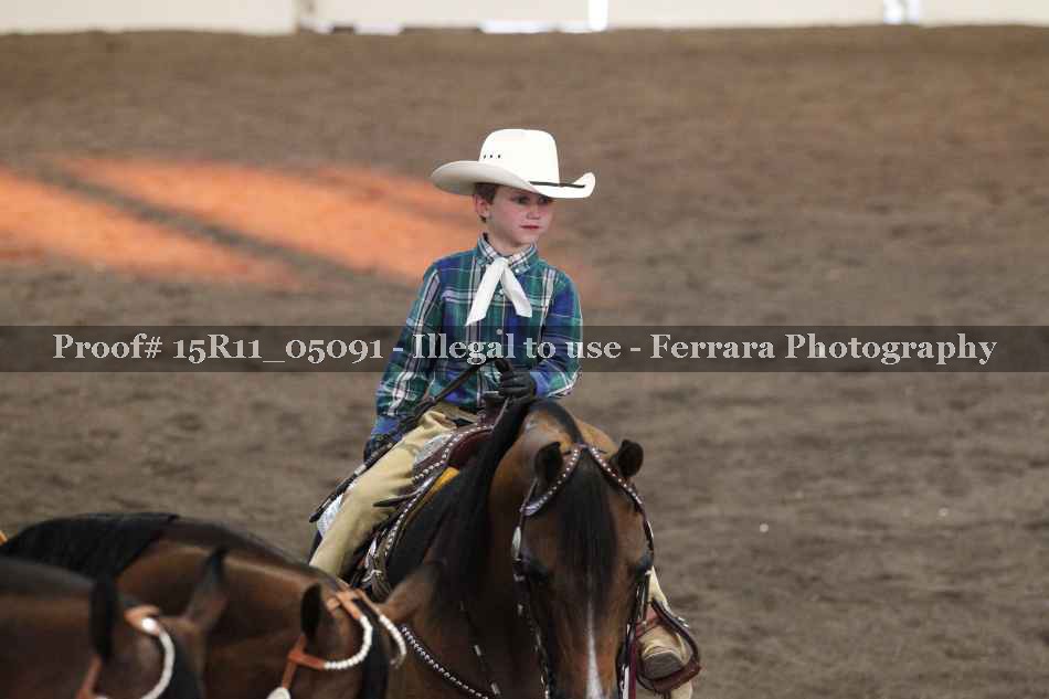 Proof Number 15R11_05091
