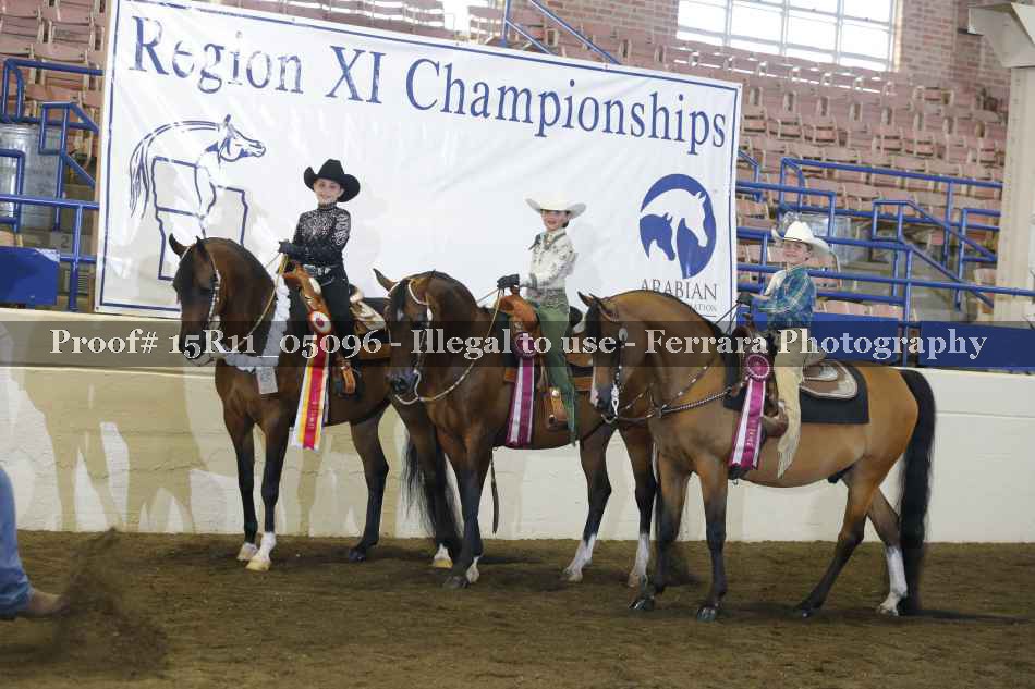 Proof Number 15R11_05096