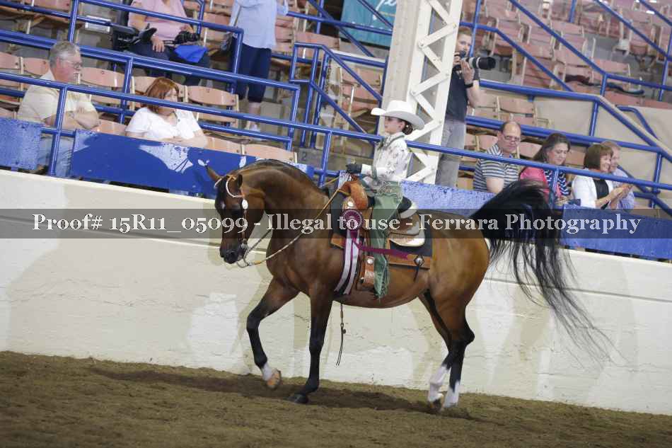 Proof Number 15R11_05099